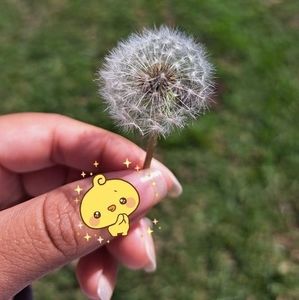 Meet your Posher, Ana